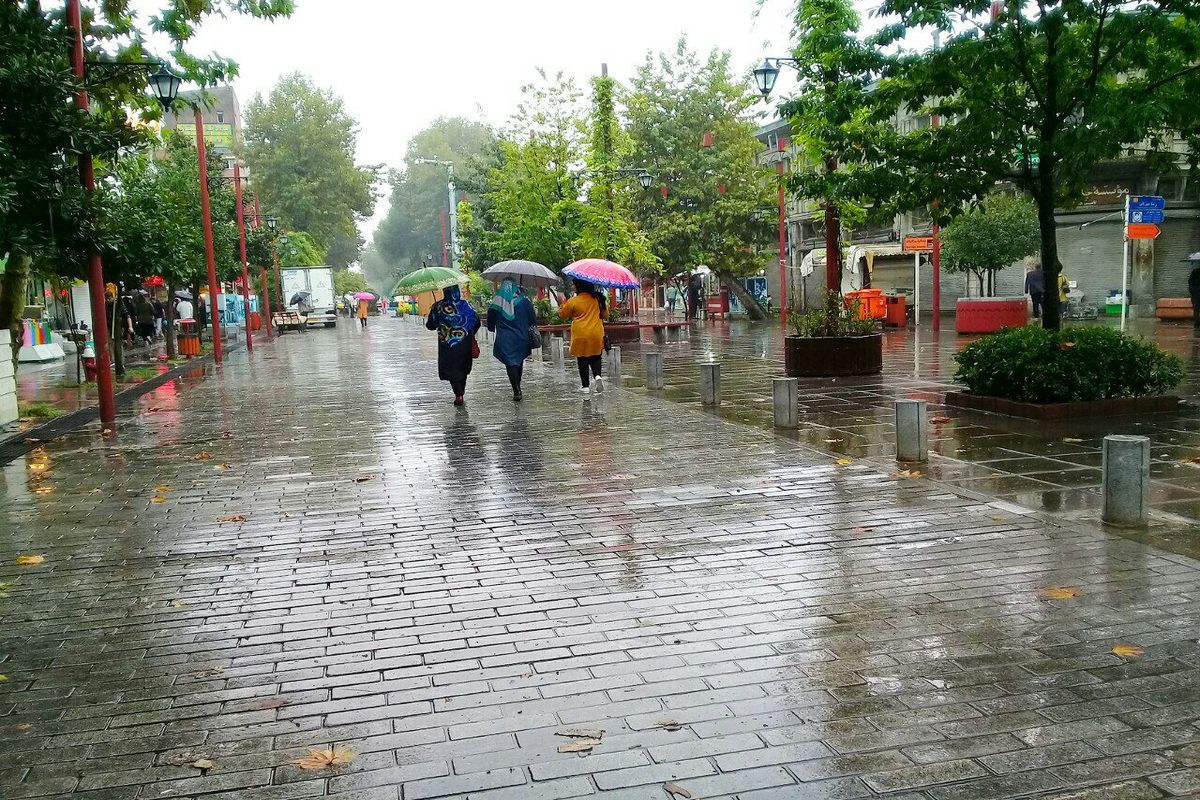بارش باران در شهر های شمالی ادامه دارد/ پیش بینی وزش باد در تهران طی دو روز آینده