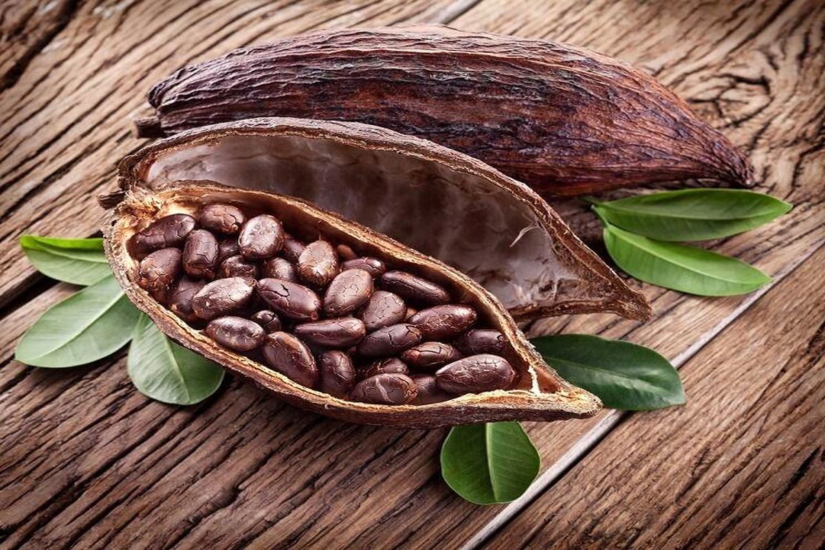 قیمت کاکائو به بالاترین رقم ۴۶ سال اخیر رسید