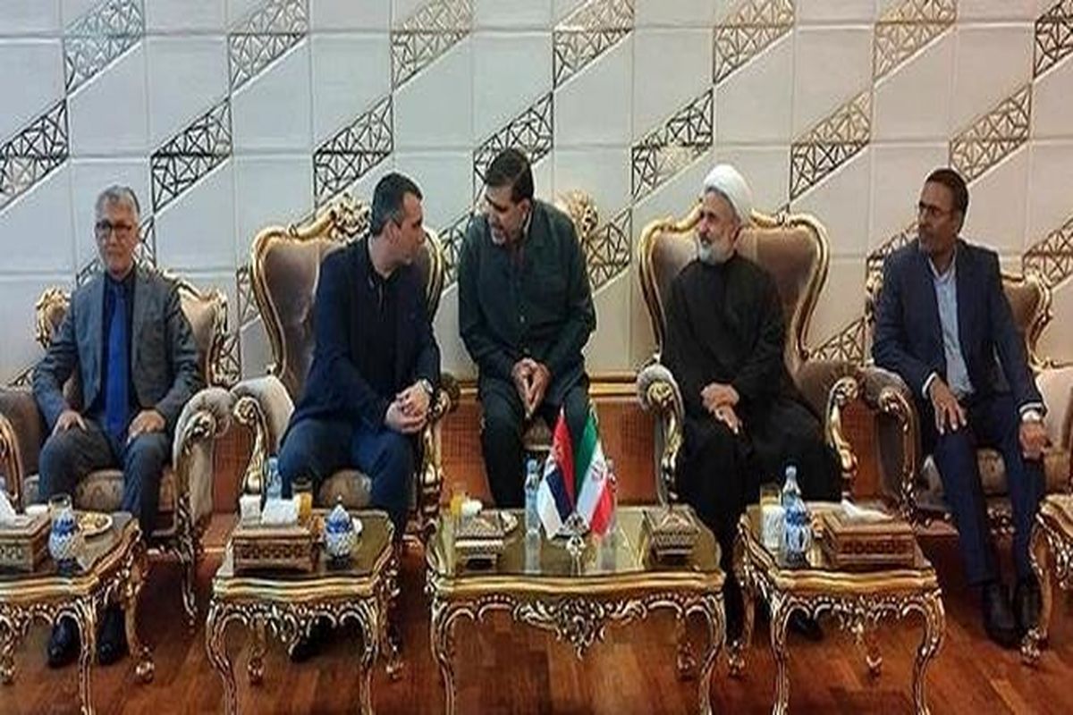 رئیس پارلمان صربستان با استقبال نایب رئیس مجلس وارد تهران شد