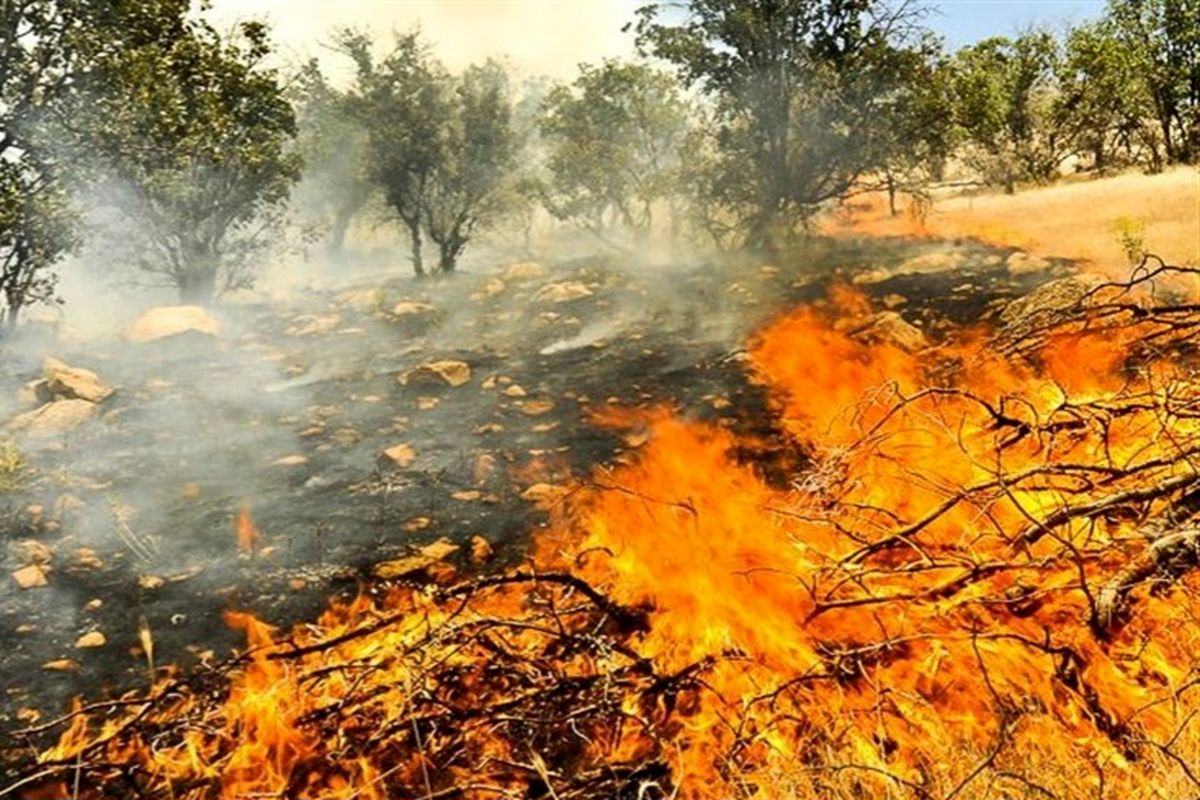 با ۸ فقره آتش‌سوزی در کهگیلویه و بویر احمد ۴.۵ هکتار از مناطق حفاظت شده در آتش سوخت