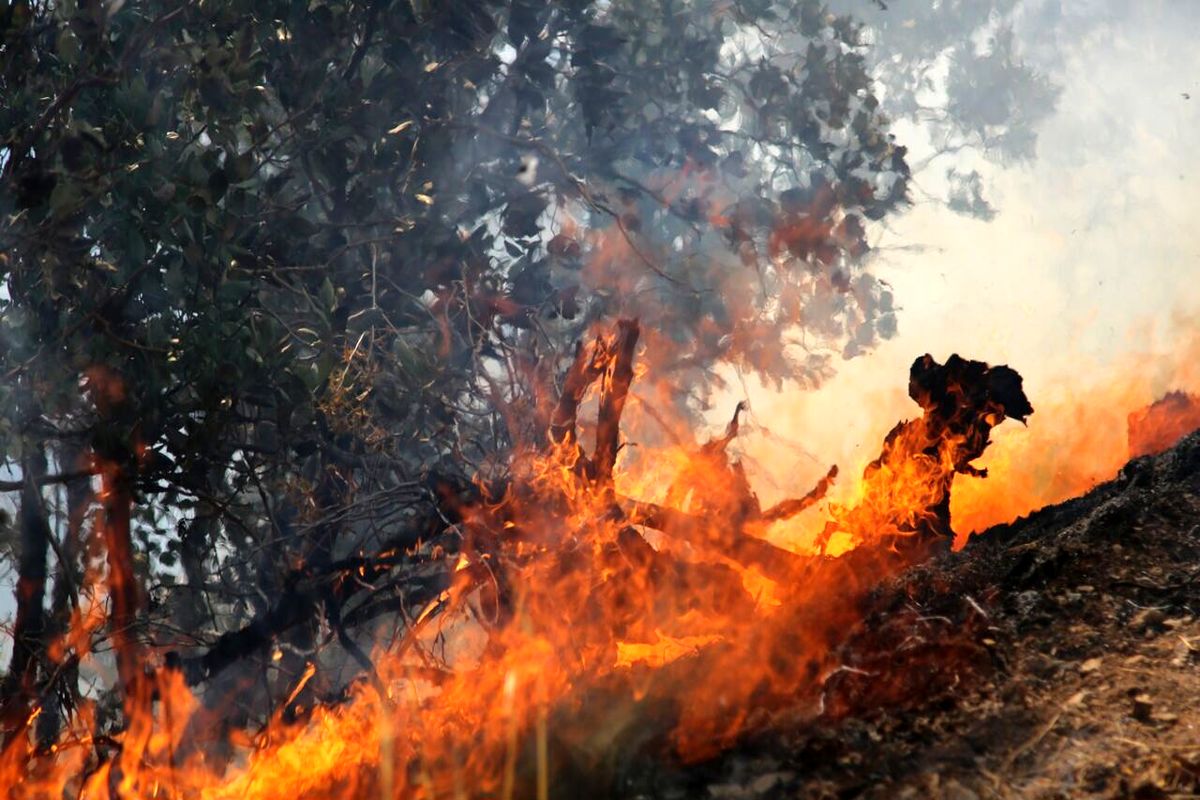 مهار آتش‌سوزی جنگل‌ها و مراتع کوه نارک گچساران پس از ۷۲ ساعت