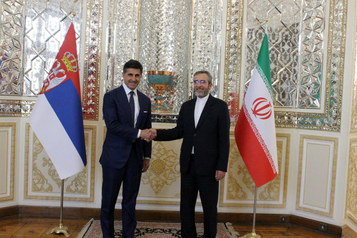 باقری: رویکرد ایران گسترش همکاری با کشورهای بالکان با هدف تقویت ثبات و امنیت است