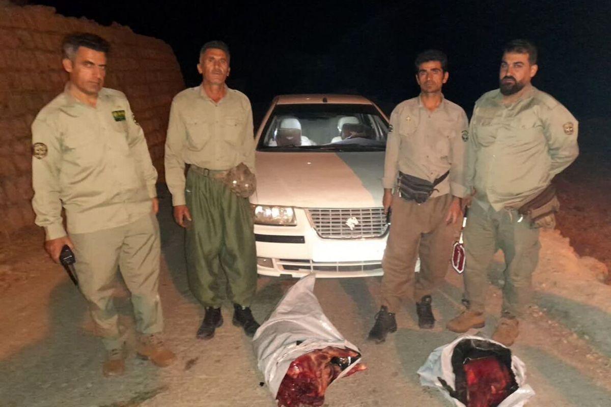 دستگیری اعضای سه گروه شکارچی متخلف در کهگیلویه و بویر احمد