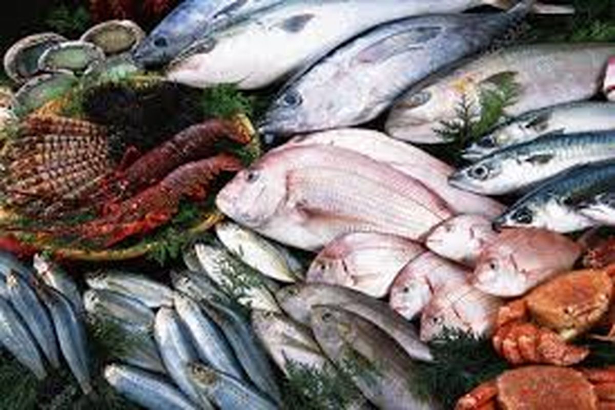 قیمت انواع ماهی در بازار میوه و تره بار چقدر است؟