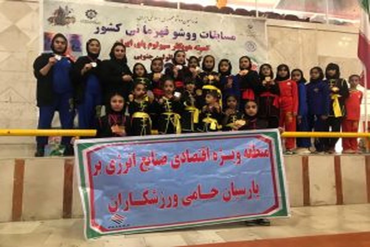 قهرمانی تیم ووشو شهرستان پارسیان در مسابقات کشوری با حمایت منطقه ویژه اقتصادی پارسیان