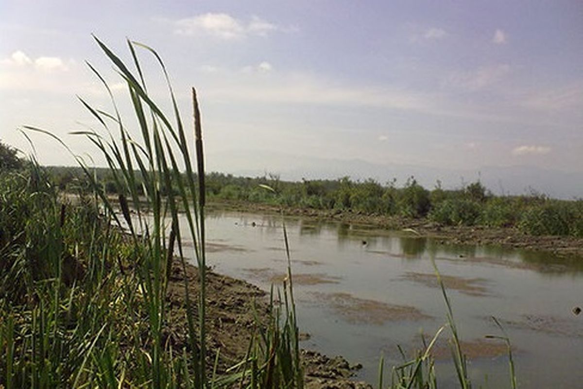 لایروبی آب بندان "مرغوب " از خواسته های اهالی این منطقه است
