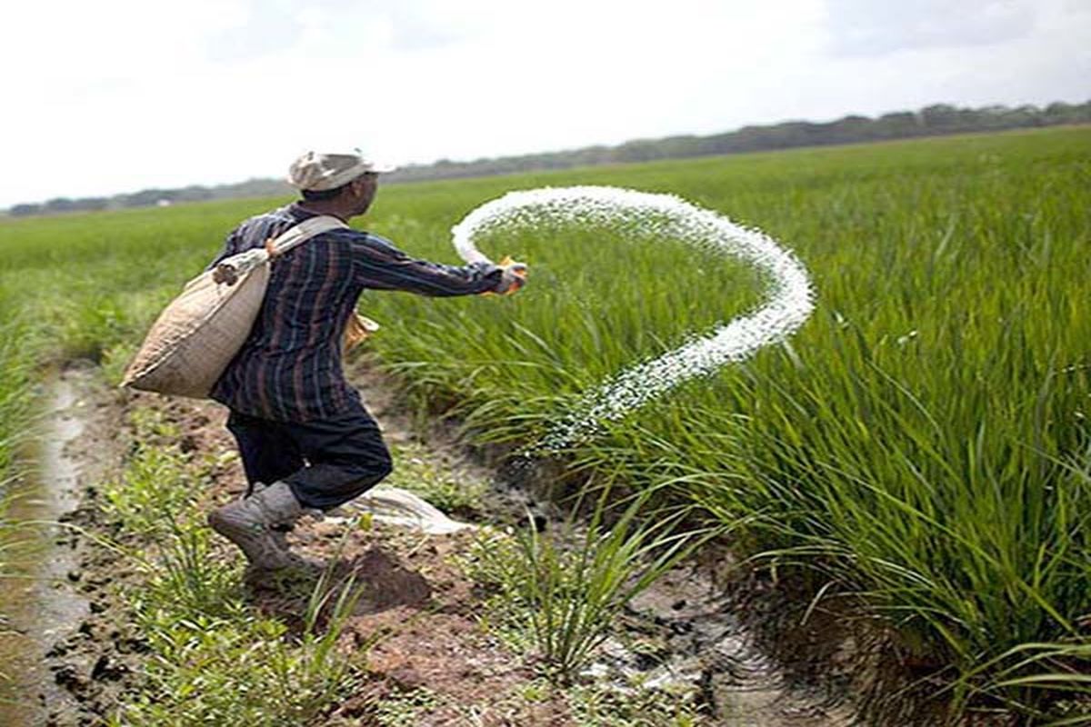 ثبات قیمت کودهای شیمیایی یارانه ای در راستای پایداری امنیت غذایی