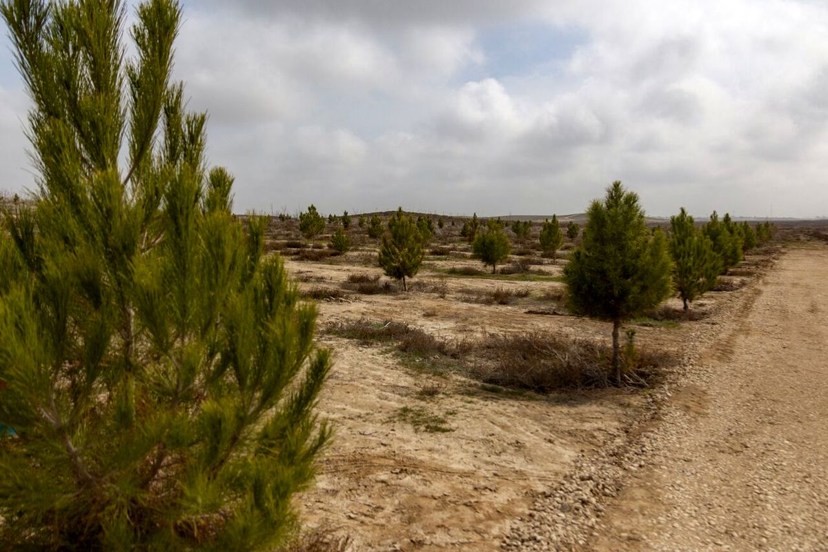 طرح‌های منابع طبیعی استان سمنان با ۲۹۳ میلیارد ریال آماده افتتاح است
