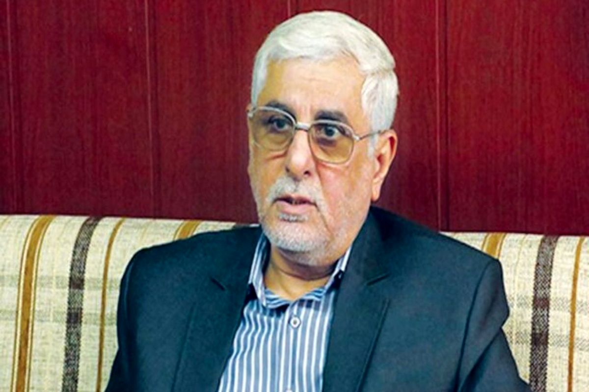 هانی‌زاده: ایران پس از رسمیت یافتن در بریکس به تراز بالایی در جهان دست خواهد یافت