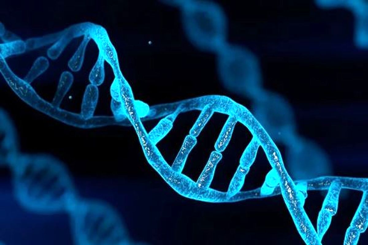 در یک گرم DNA چند گیگابایت اطلاعات ذخیره می شود؟