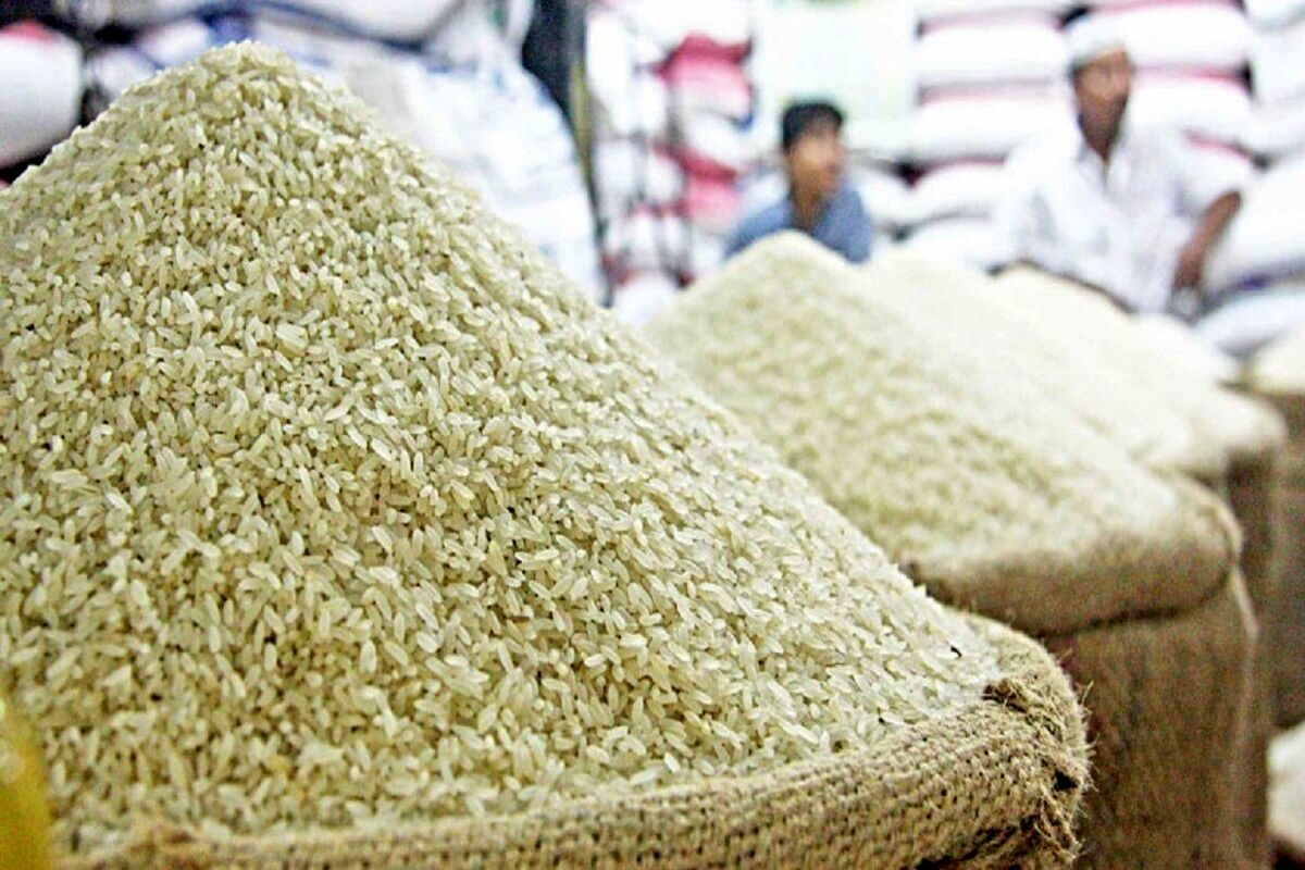 کف قیمت برنج صادراتی هند ۱.۲ دلار در هر کیلو شد