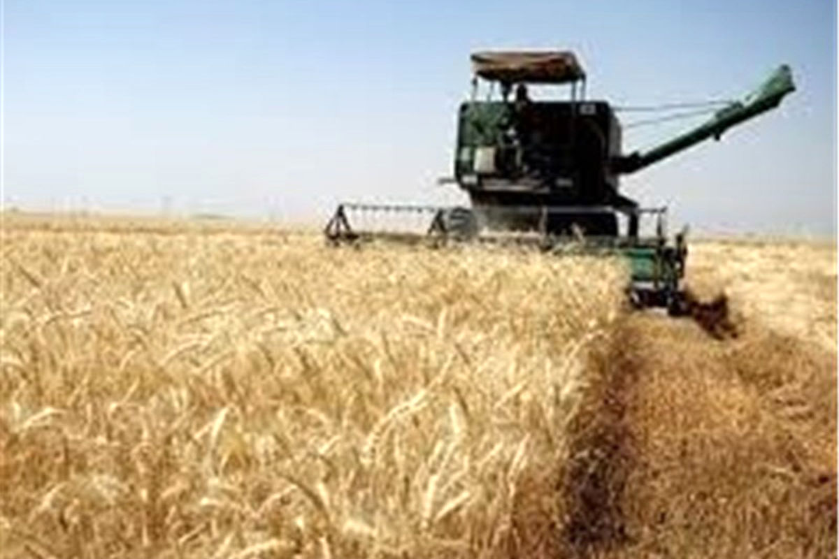 فرماندار: بدهی کشاورزان مروست یزد به بانک‌ها هنوز امهال نشده است