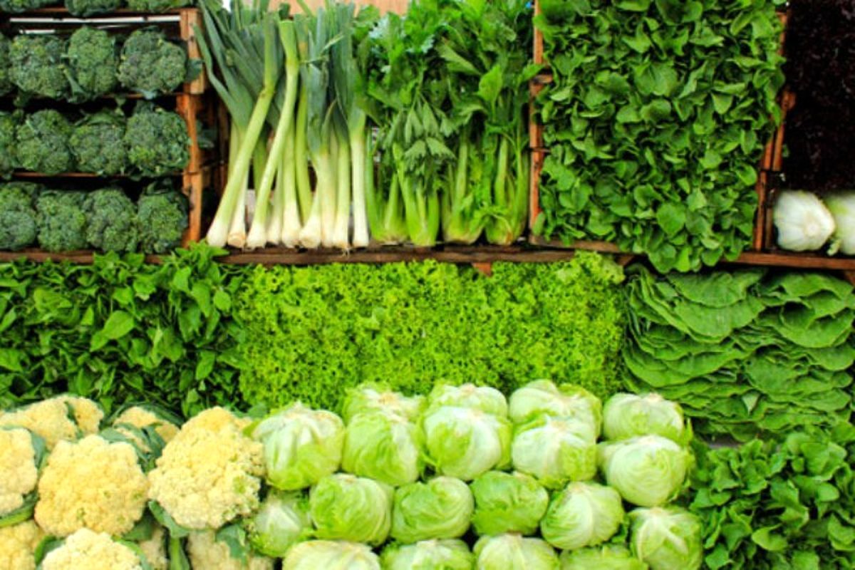 قیمت انواع سبزیجات برگی و غیر برگی در بازار میوه و تره بار کاهش یافت