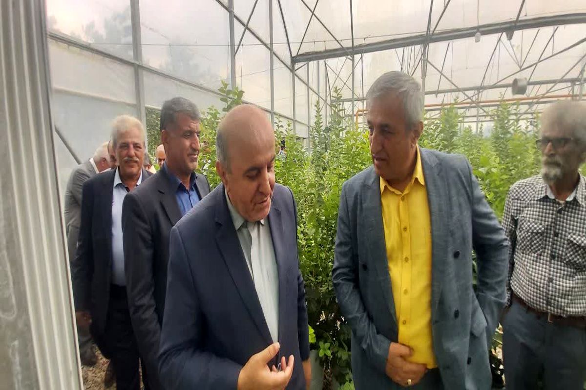 افتتاح بزرگ ترین و مدرن ترین گلخانه های پرورش و تولید بلوبری مازندران