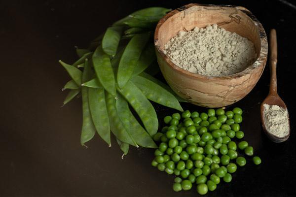 پودر پروتئین نخود؛ ارزش غذایی، فواید و نحوه استفاده