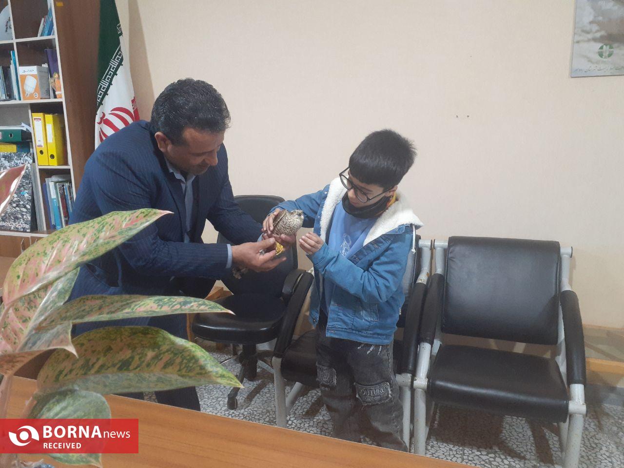 رهاسازی یک بهله پرنده شکاری بعد از تیمار و درمان به آغوش طبیعت رهاسازی یک بهله پرنده شکاری بعد از تیمار و درمان به آغوش طبیعت