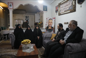 سخنگوی دولت با خانواده شهید محمدرضایی دیدار و گفتگو کرد