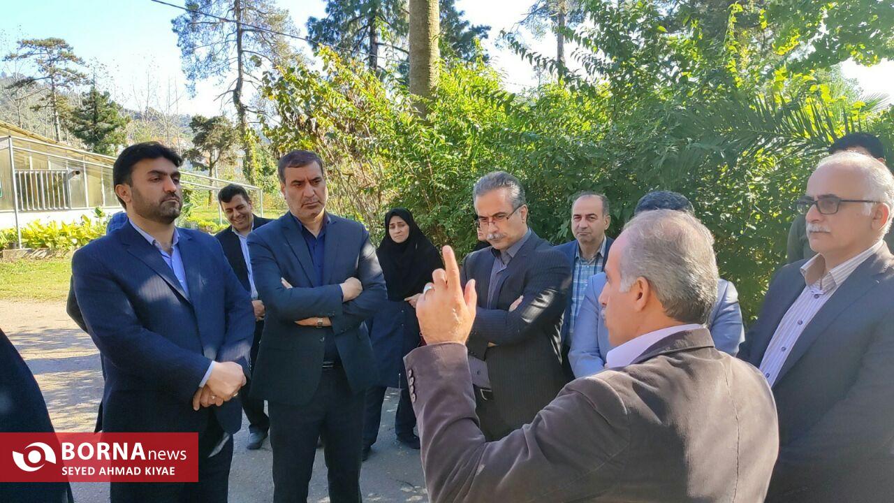 بازدید معاون وزیر کشور از موزه ابریشم و موسسه گل و گیاه لاهیجان + عکس بازدید معاون وزیر کشور از موزه ابریشم و موسسه گل و گیاه لاهیجان + عکس