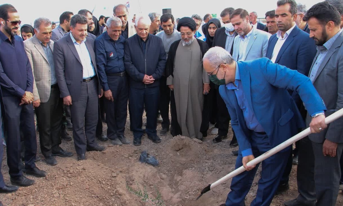 آغاز طرح مردمی کاشت درخت در کرمان