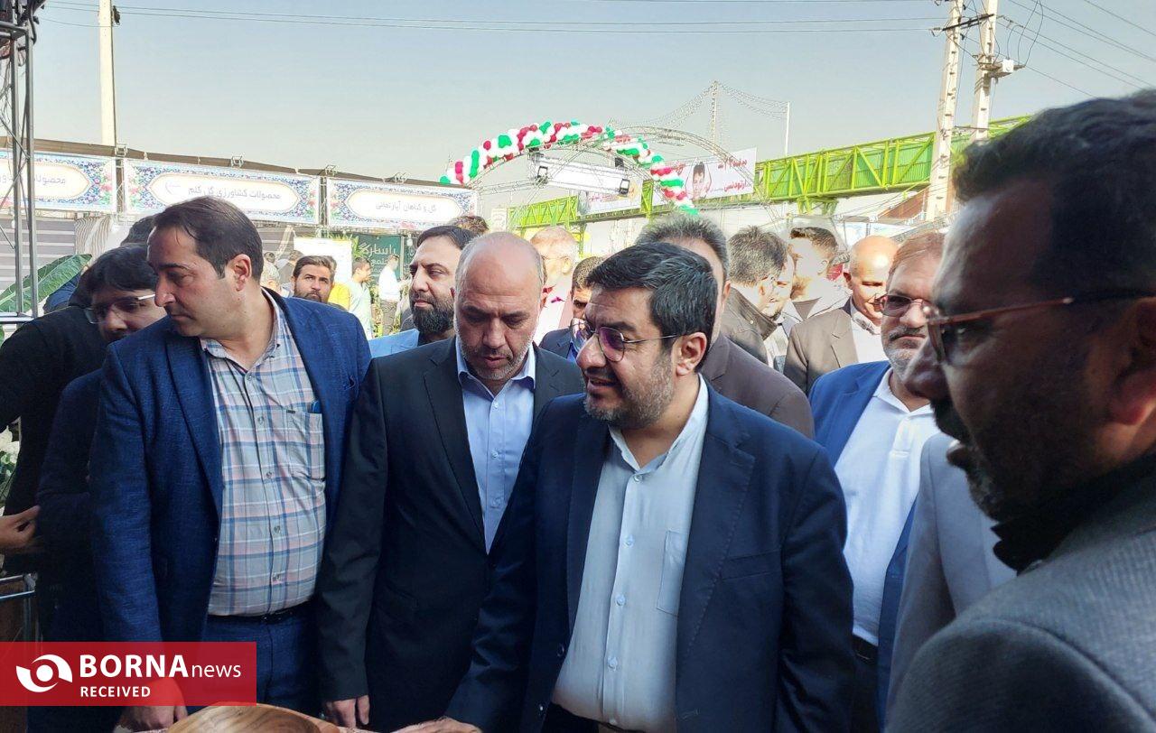 برگزاری اولین جشنواره برداشت گل کلم در بخش کهریزک برگزاری اولین جشنواره برداشت گل کلم در بخش کهریزک