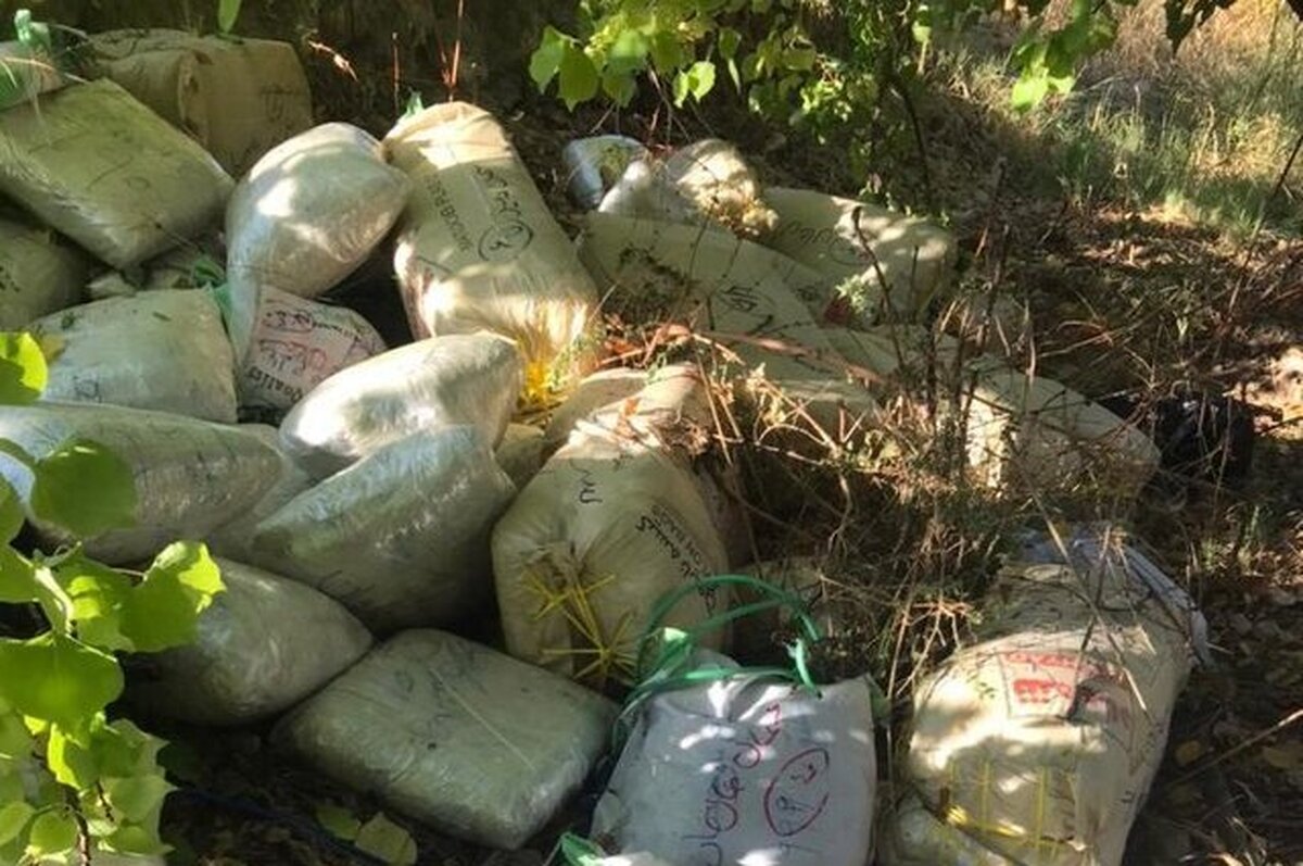 فرمانده انتظامی فارس: ۷۱۵ کیلو مواد مخدر در استان کشف شد