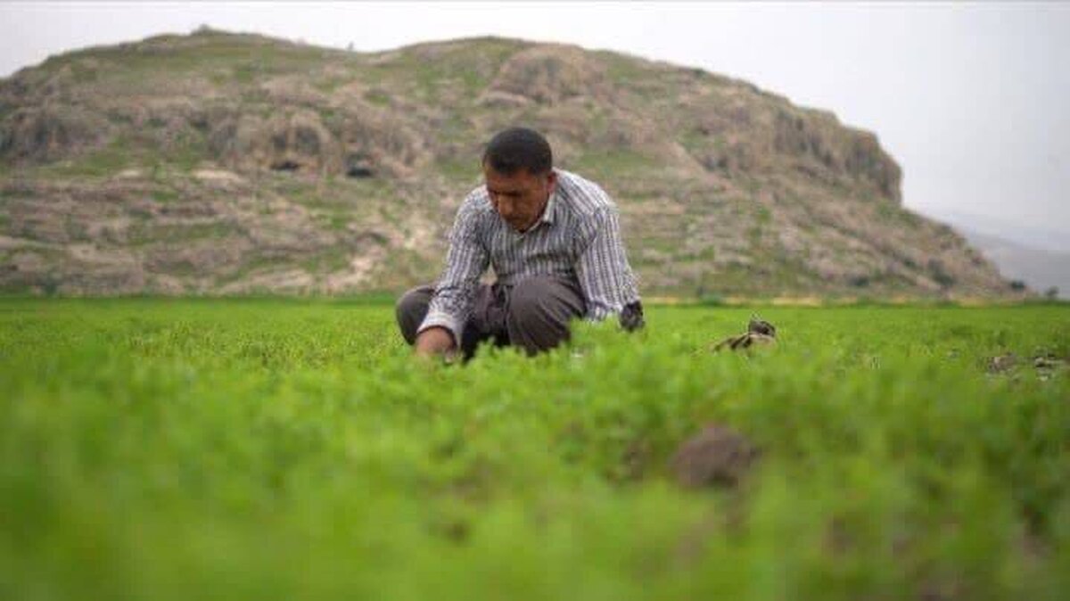 راه‌یابی مستند طلای سبز به دومین جشنواره ملی میراث فرهنگی