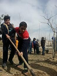 صحرایی: اگر درخت می کاشتیم ، غم غیر حضوری شدن مدارس را نداشتم
