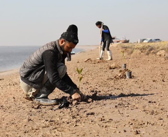پالایشگاه آبادان در راستای اجرای طرح کاشت یک میلیارد درخت؛ 20 هزار اصله
