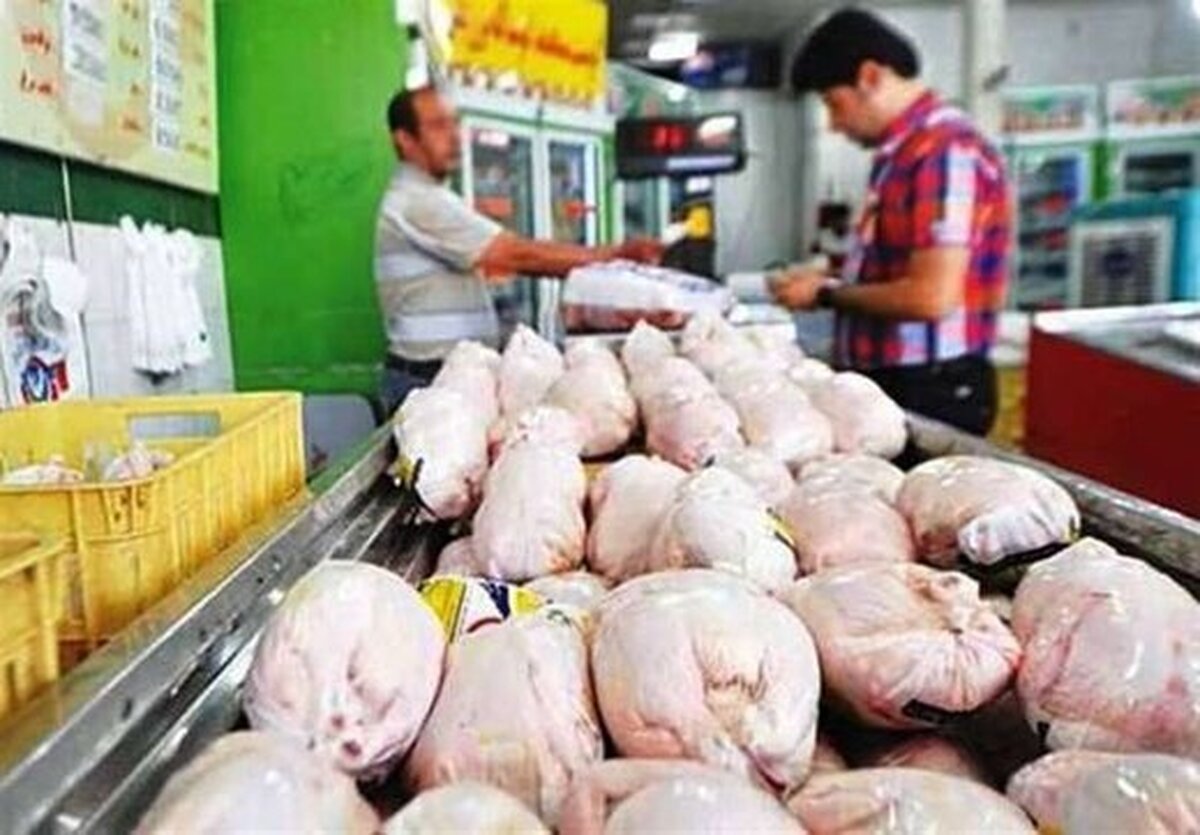 روزانه ۲۲۰ تن مرغ در هرمزگان توزیع می‌شود