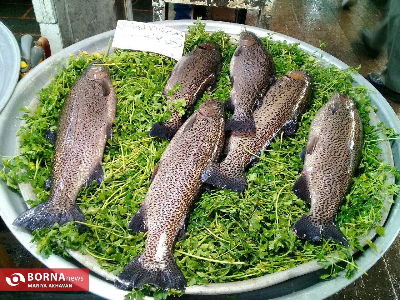 بازار رشت در شب یلدا بازار رشت در شب یلدا