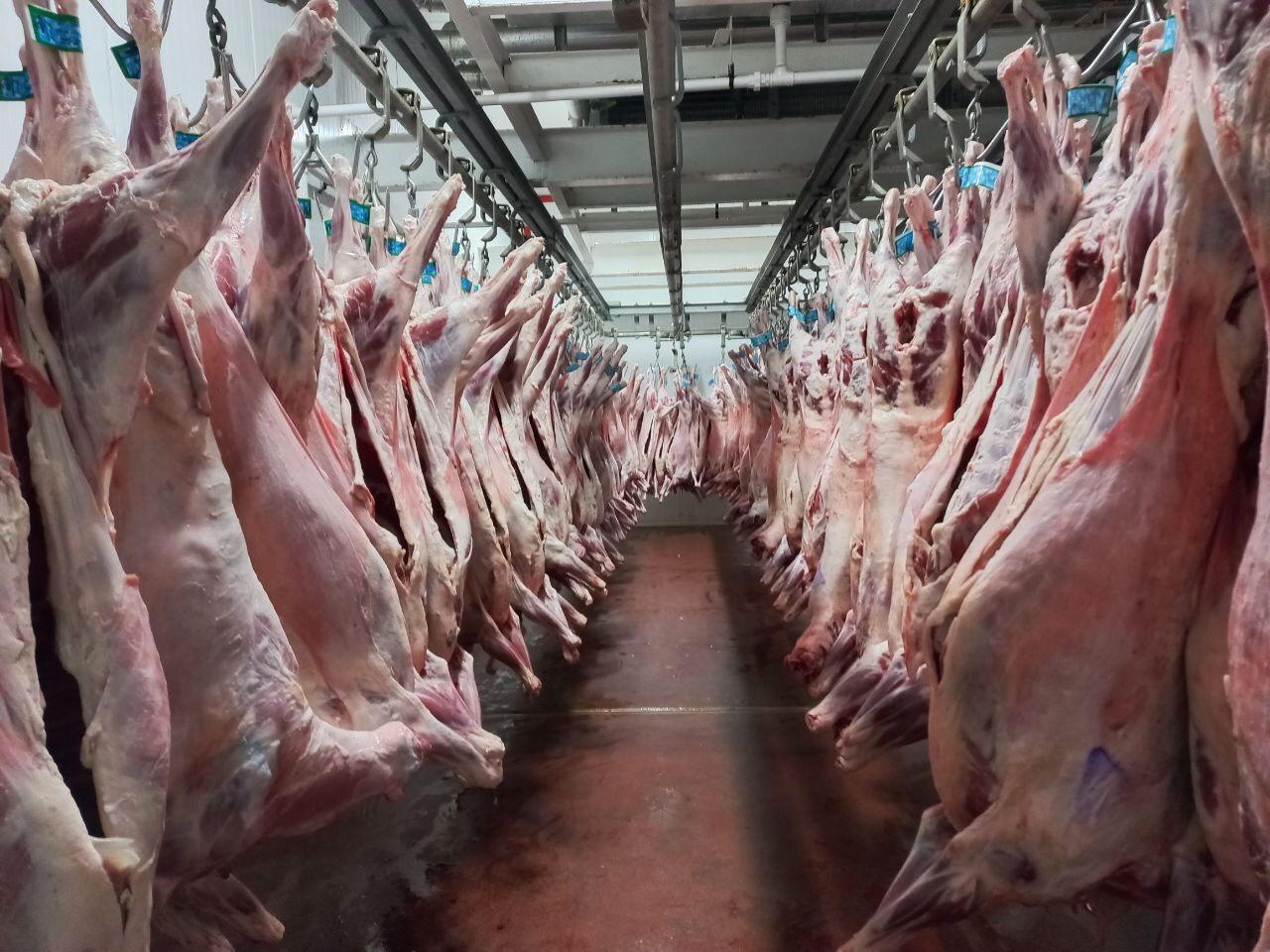 سودجویی برخی افراد در رسیدن بازار گوشت به میلیون تومان