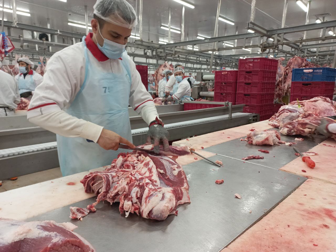 سودجویی برخی افراد در رسیدن بازار گوشت به میلیون تومان