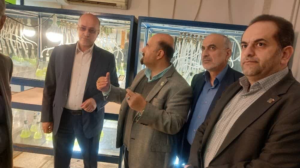 واحدهای دانش بنیان باعث خلق ارزش افزوده پایدار در زنجیره تولید هستند