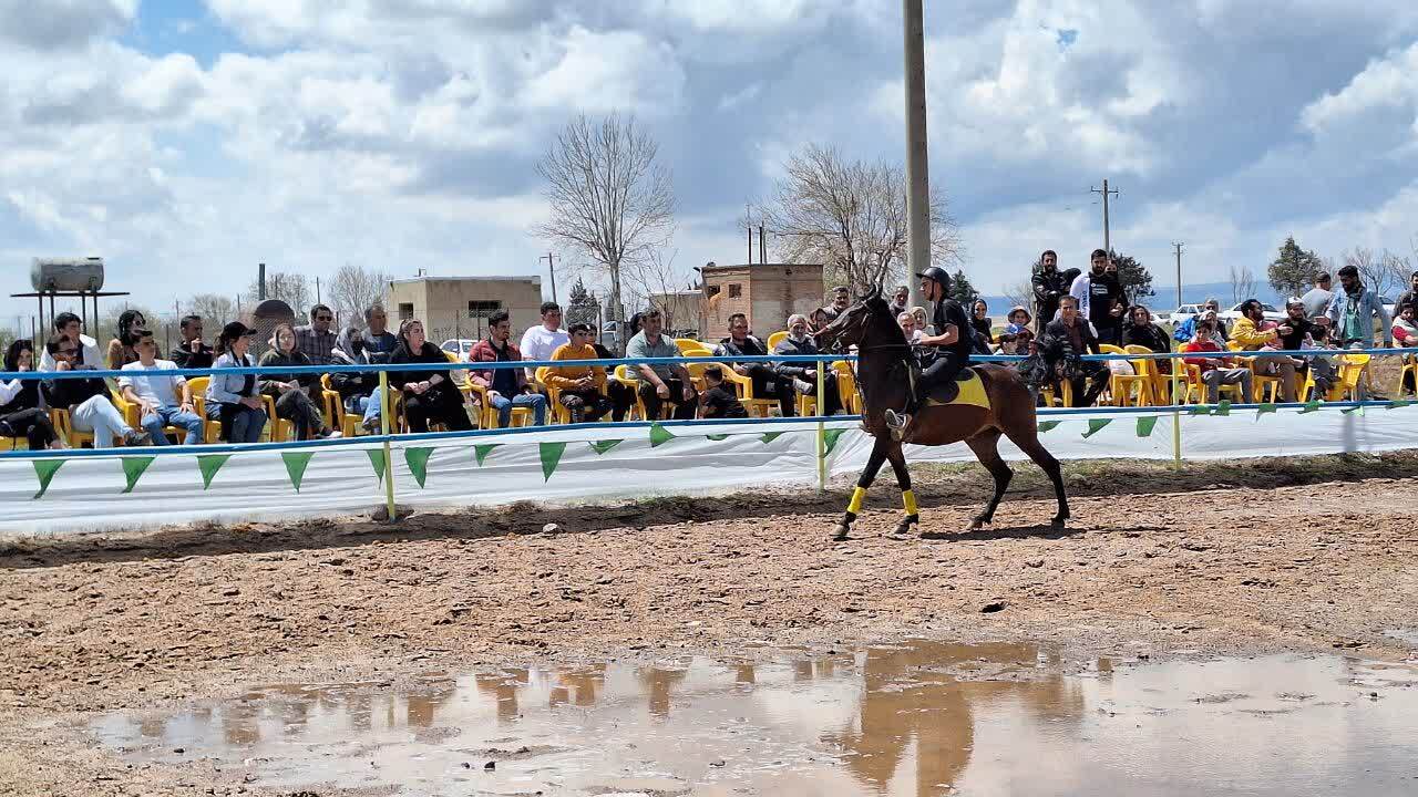 شو سواره اسب در اقبالیه برگزار شد شو سواره اسب در اقبالیه برگزار شد