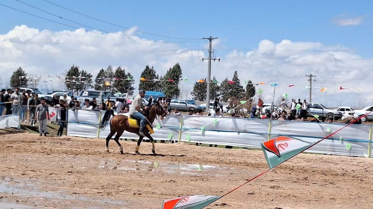 رکورد سوارکاران ساماندهی شده در استان قزوین شکسته شد