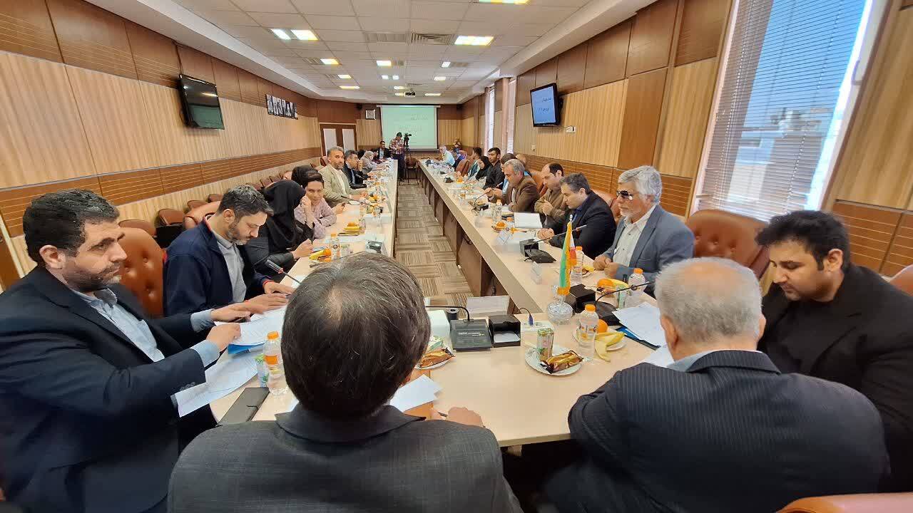 افزایش بیمه شدگان ورزشی رشته نابینایان در دستور کار قرار گیرد