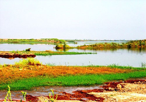 اهواز شهر پل ها و شب های زیبا