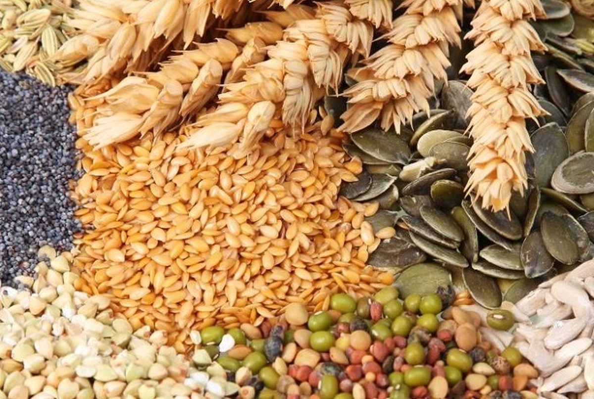 تضمین امنیت غذایی دهک های یک تا هفت با عزم دولت سیزدهم