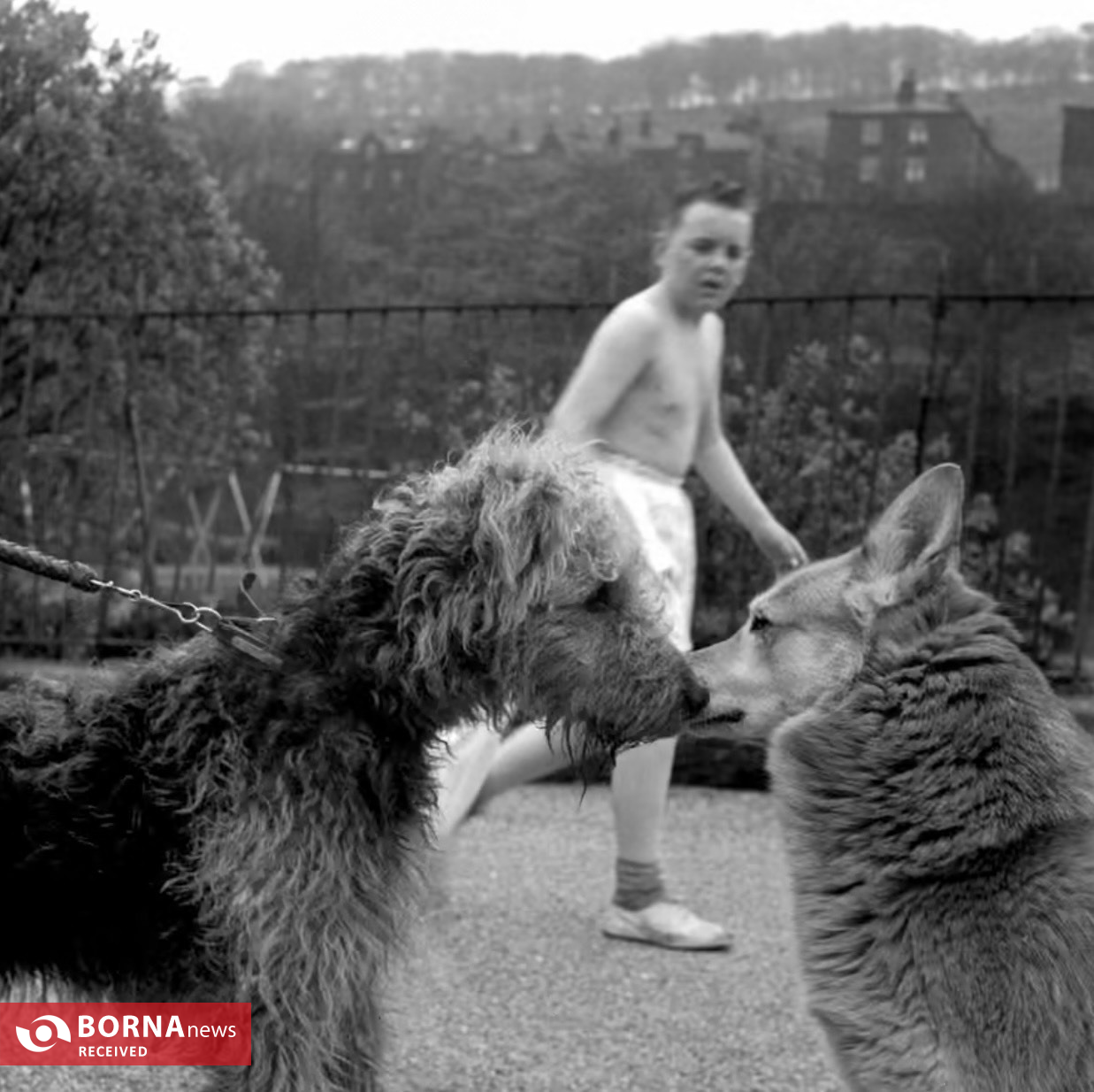 آثار آلیس لانگستاف در کتابی جدید منتشر شدند