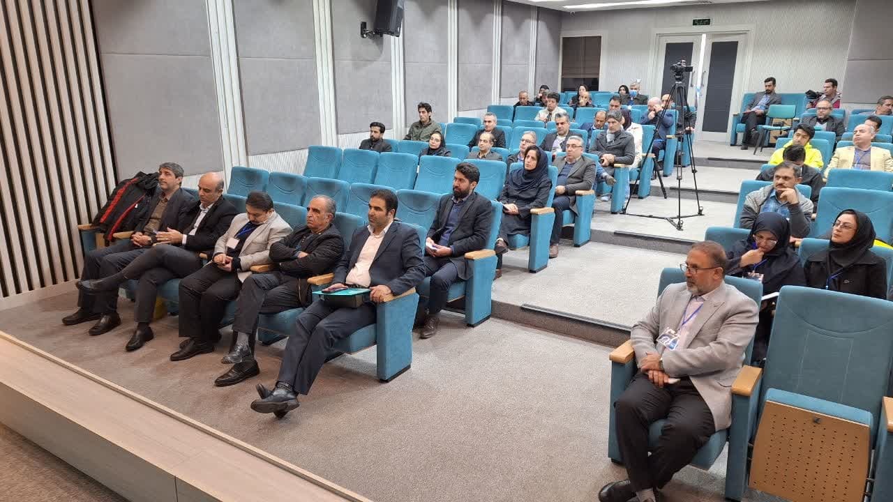 سرویس های «وایتاپ» موجب تحول در حوزه ارتباطات شده است