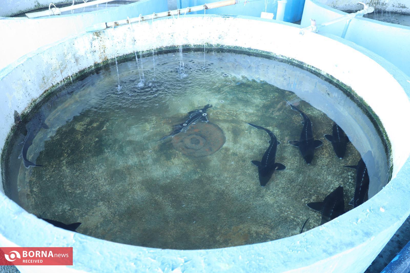 زیرساختهای مورد نیاز اقتصاد دریا محور در گیلان توسعه مییابند زیرساختهای مورد نیاز اقتصاد دریا محور در گیلان توسعه مییابند