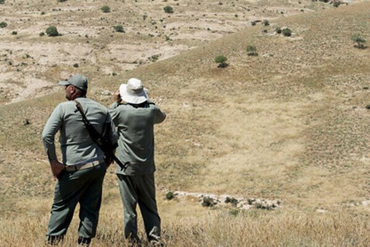 مدیرکل حفاظت محیط زیست کرمان: رای قطعیِ محیط‌بان خوارزمی صادر نشده است