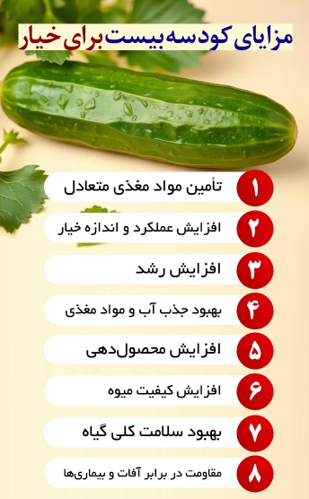 کود سه بیست برای خیار