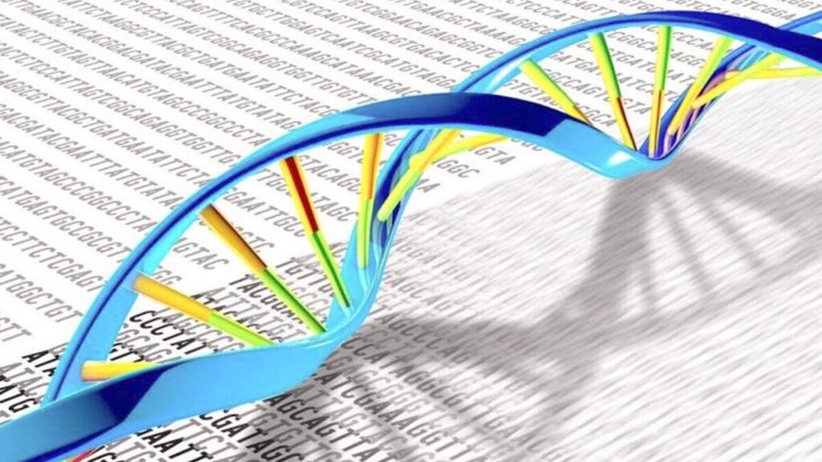 کنترل فعالیت نانوماشین‌ها از طریق DNA