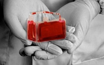 235 هزار نمونه خون بند ناف در مرکز رویان جمع آوری شده است