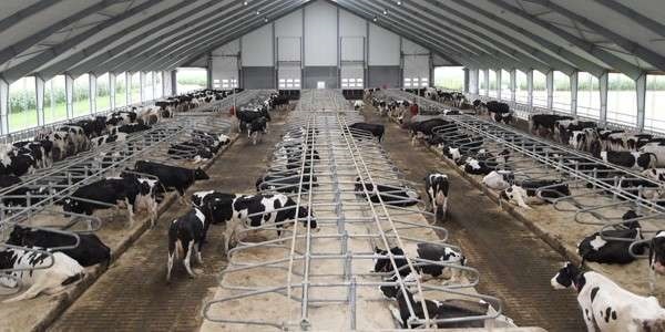 نوذری: استان قزوین بهشت سرمایه گذاری در بخش صنعت، کشاورزی و گردشگری است نوذری: استان قزوین بهشت سرمایه گذاری در بخش صنعت، کشاورزی و گردشگری است