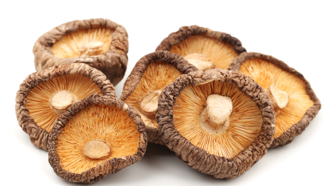 چرا اخیراً پزشکان قارچهای دارویی را توصیه میکنند؟ یال شیر و شیتاکه در خط مقدم سلامتی چرا اخیراً پزشکان قارچهای دارویی را توصیه میکنند؟ یال شیر و شیتاکه در خط مقدم سلامتی