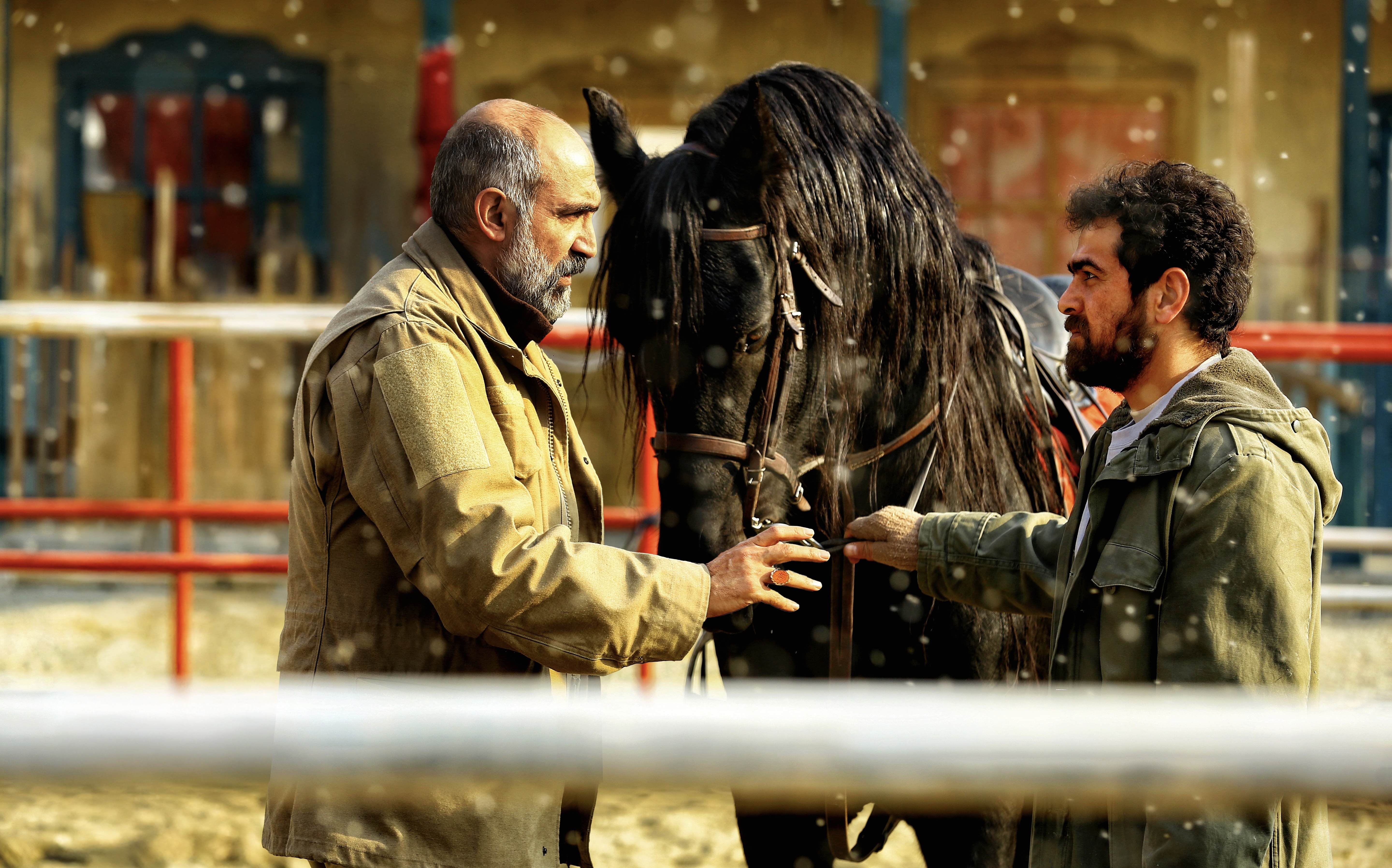 روز ششم جشنواره؛ از «کفایت مذاکرات» موفق تا «مرد آرام» صادقی