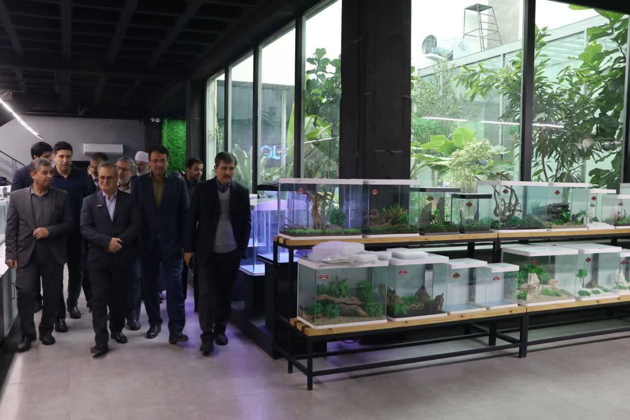 ۶۳ طرح تولیدی کشاورزی در استان قزوین افتتاح شد ۶۳ طرح تولیدی کشاورزی در استان قزوین افتتاح شد