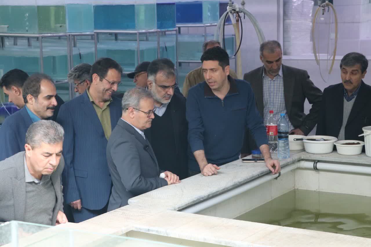 ۶۳ طرح تولیدی کشاورزی در استان قزوین افتتاح شد ۶۳ طرح تولیدی کشاورزی در استان قزوین افتتاح شد